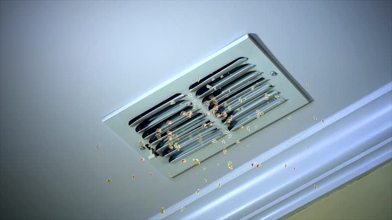 Best HVAC Duct Inspection Services  in Willacoochee, GA