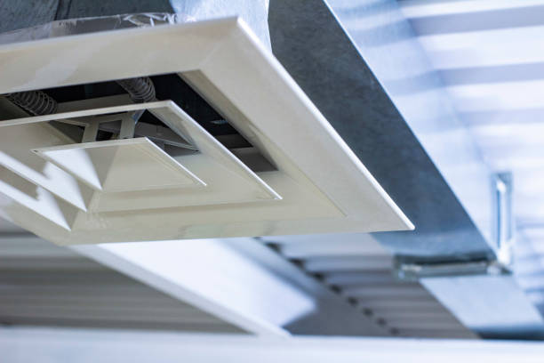 Best Air Duct Cleaning Near Me  in Willacoochee, GA