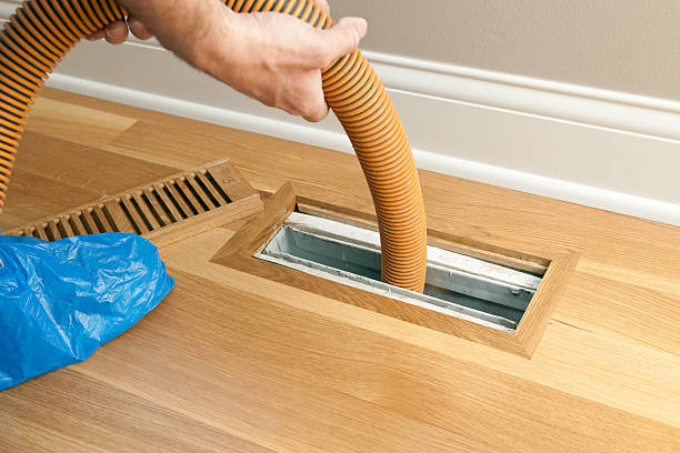 Best Affordable Air Duct Cleaning  in Willacoochee, GA