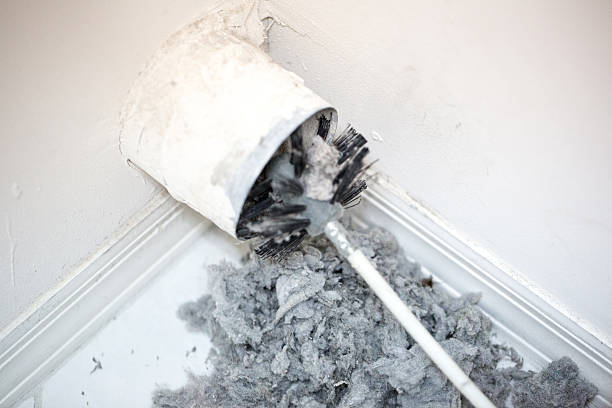 Best Local Air Duct Cleaning Services  in Willacoochee, GA